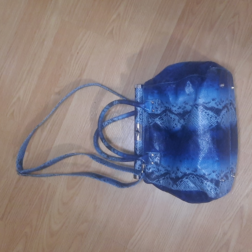 Snakeskin purse